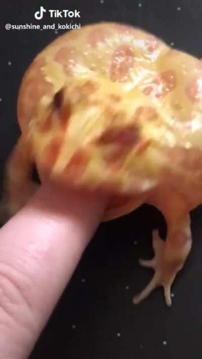 Angry frogs munches on helpless victim