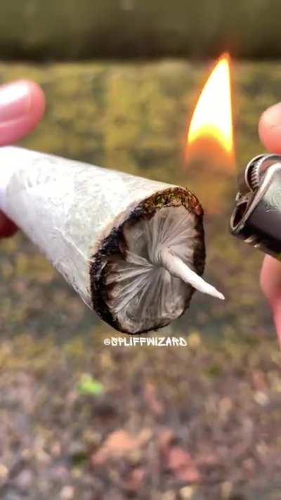 Beat way to prepare a joint/spliff to smoke… pop the top first🔥