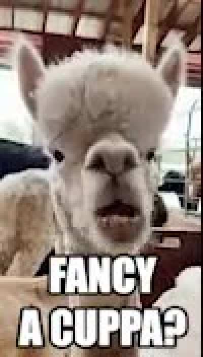 OI