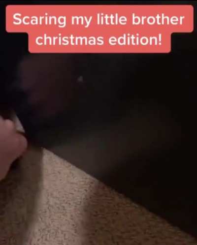 the best way to spread Christmas cheer