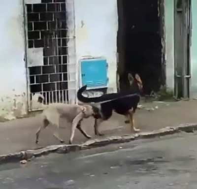 Taking my daughter for a walk