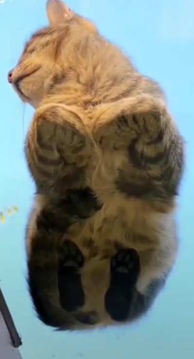 loaf on glass