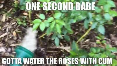 If I don't the roses get horny 😳😳😳