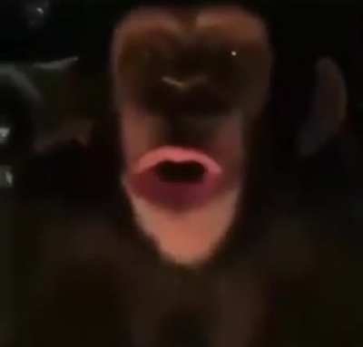 Who&rsquo;s toes are those? (Fuck exotic pet owners btw)