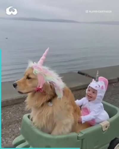 They&rsquo;re turning me into a unicorn