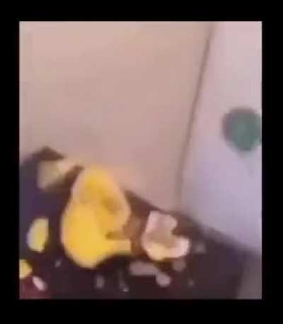 peeka-