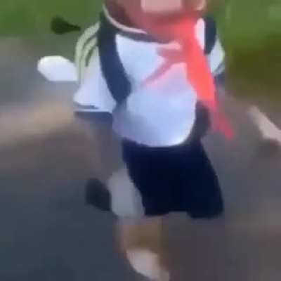 Monke Waifu?!!!
