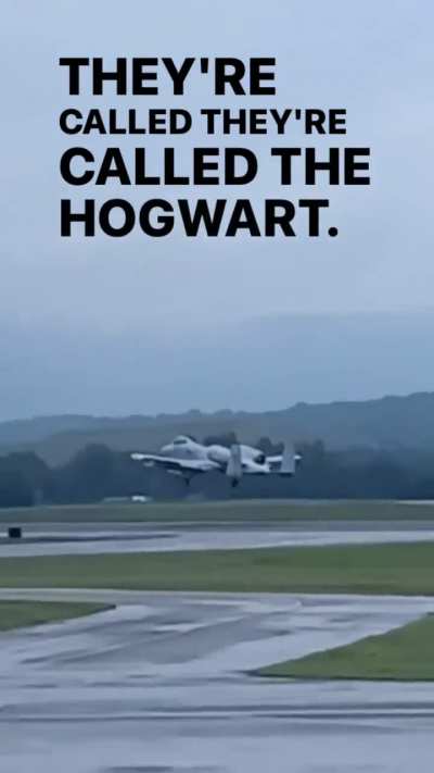 I wonder which house the Sorting Hat would pick for it