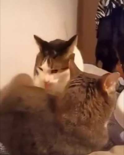 She has had enough of her bullshit