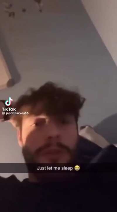 Someone commented &ldquo;cute dog&rdquo; on this TikTok