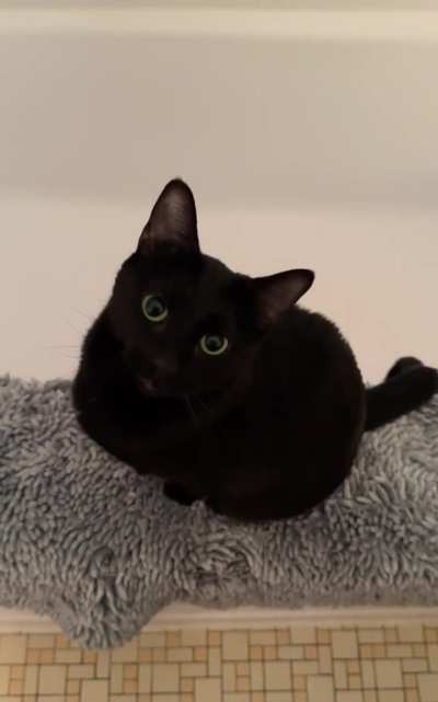 Bonnie McPurray was really upset! I was about to take a bath and had a brand new razor. She did not like the looks of it! No bath today, she says!