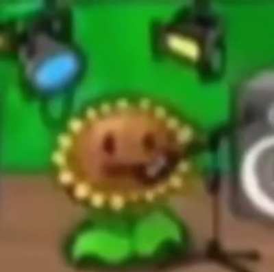 Girasol cantando