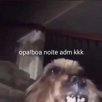 Opa kkk