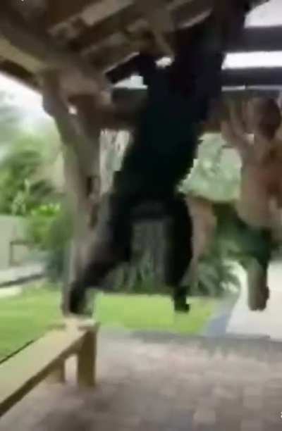 Monke
