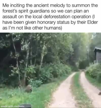 We attack at dawn