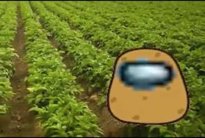 Potatus
