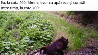 Filtrată