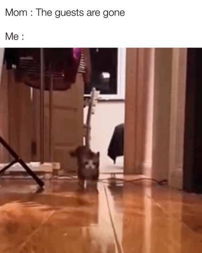 meirl
