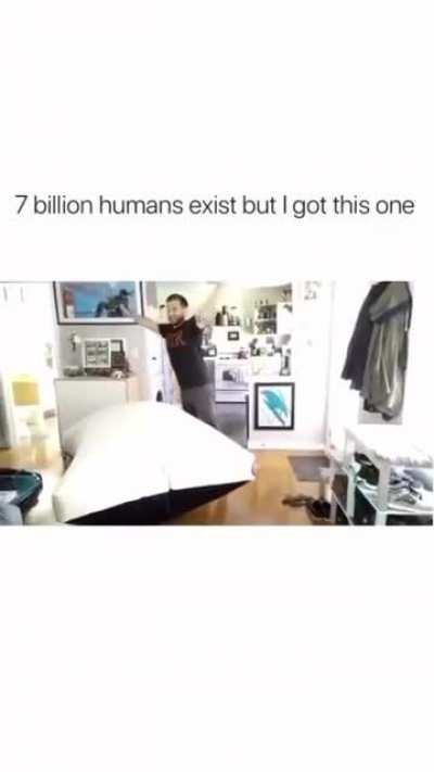 Stupid hooman