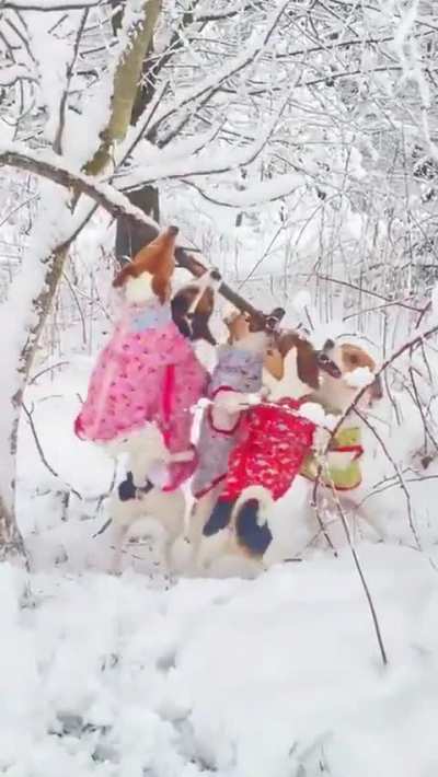 This is OUR stick!