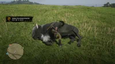 I was so happy to get my first legendary animal ..