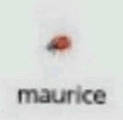 Say Hi To Maurice , He Smiles (&bull;‿&bull;)