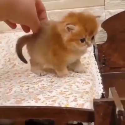 🥺🥺