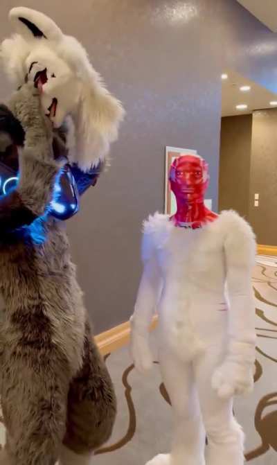 Furry_irl