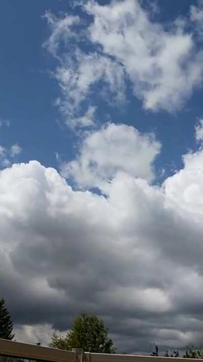 Another Timelapse