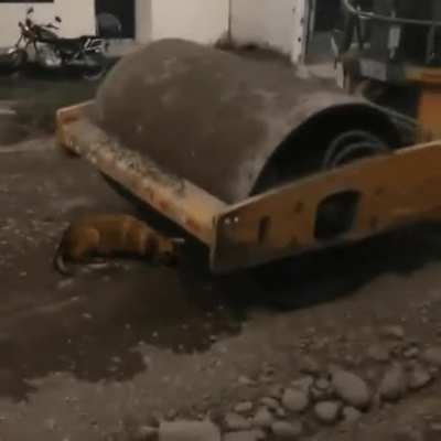 ሠኬቹፕሡቺፕጊቹኑነዑᎆነጊቺነፖቸዐዶፎቹፕ