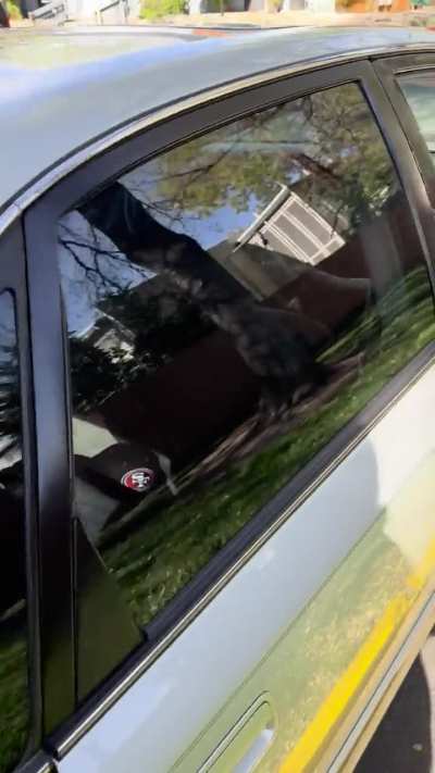 I found this decal that looks exactly like Apollo