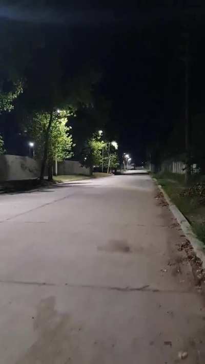 Tortuguitas no es para epilépticos