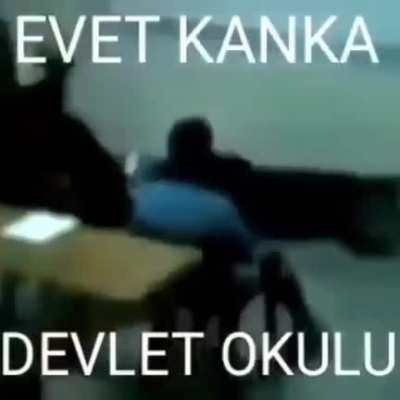 Devlet okulu