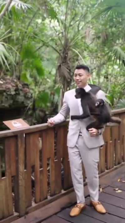 He married to monkey now