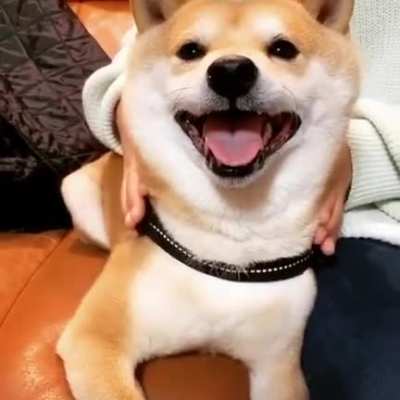 Awwwwww
