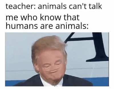 IQ over 9000