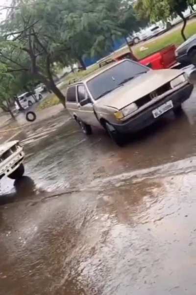Carro Farejador