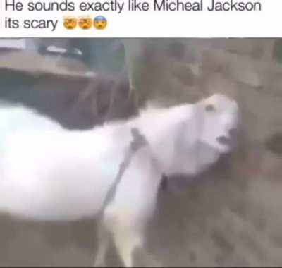 omg guys🤯🤯