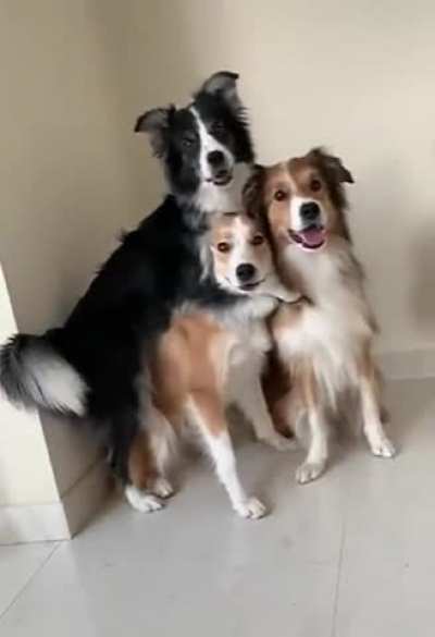 Pose for the camera
