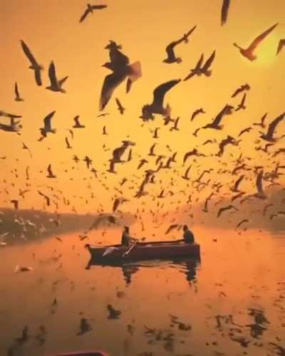 A fascinating moment in the Yamuna River through the lens of nirmal kharayat 🦅