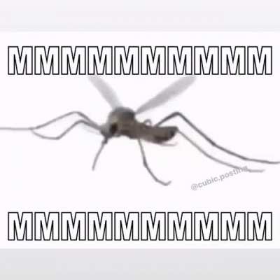 MMMMMMMMMMMMMMMMMMMM