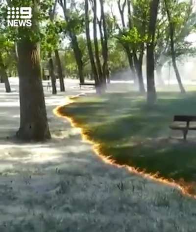 Pollen burn