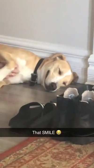Woof-irl