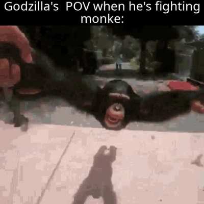 I'm making dark mode friendly memes from now on