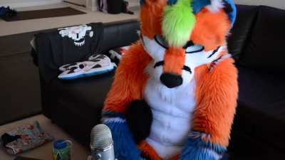 Fox_irl