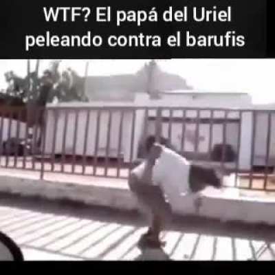 Peleas &eacute;picas