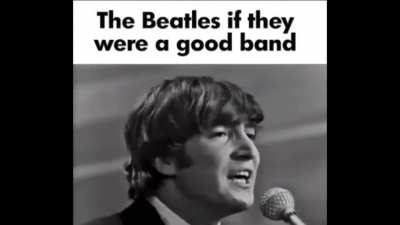 the shugas