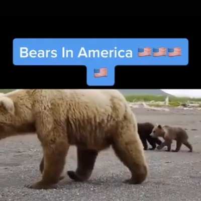 Os russos t&atilde;o em outro n&iacute;vel kkk