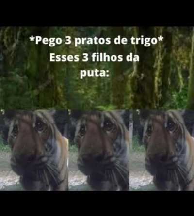 shorei