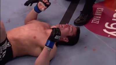 Beautiful lateral drop, followed by triangle choke in Demian Maia vs Chael Sonnen